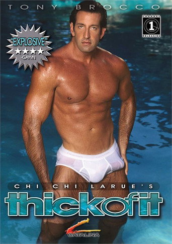 The Thick of It movie poster