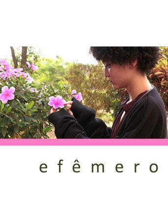 Efêmero movie poster