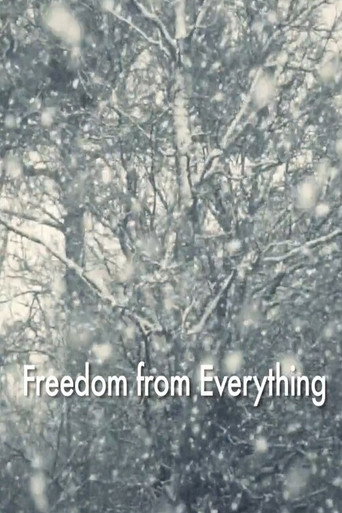 Freedom from Everything movie poster