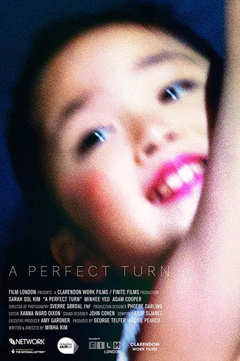 A Perfect Turn movie poster