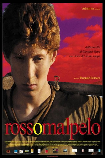 Rosso Malpelo movie poster