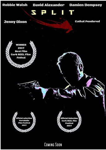 Split movie poster