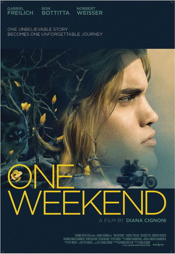 One Weekend movie poster