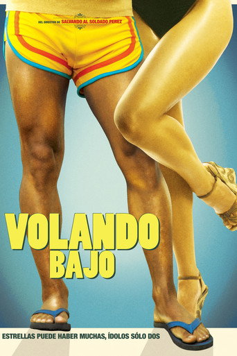 Flying low movie poster