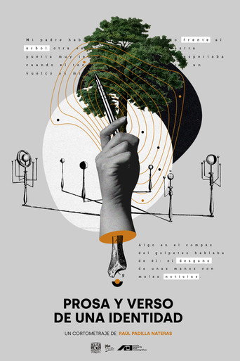 Prosa y verso de una identidad movie poster