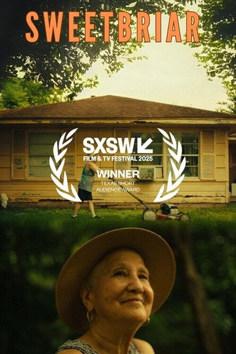 Sweetbriar movie poster