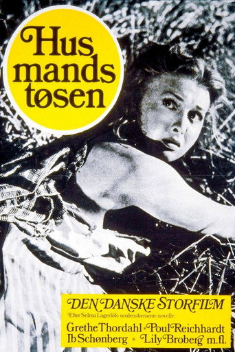 Husmandstøsen movie poster