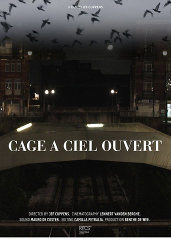 Cage À Ciel Ouvert movie poster