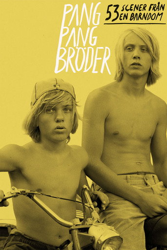 Twin Brothers: 53 Scenes in Chronological Order movie poster