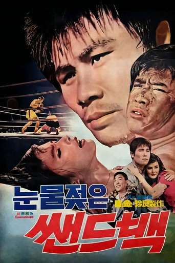 Tearful Sandbag movie poster