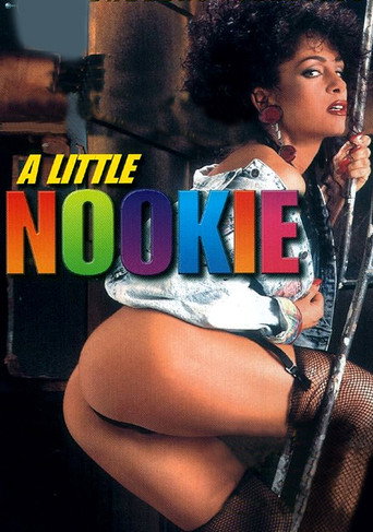 A Little Nookie movie poster