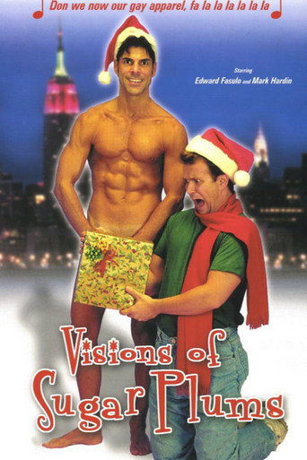 Visions of Sugarplums movie poster