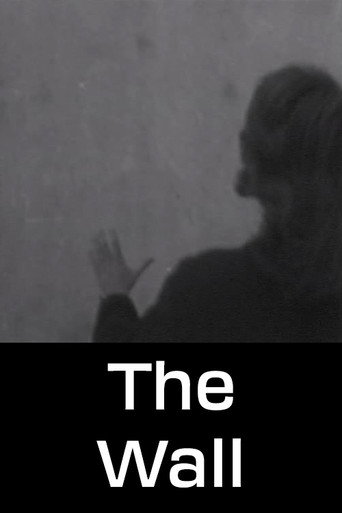 The Wall movie poster