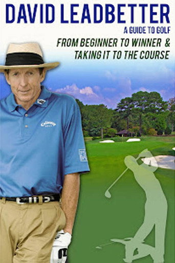 David Leadbetter : From Beginner to Winner movie poster