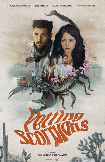 Petting Scorpions movie poster