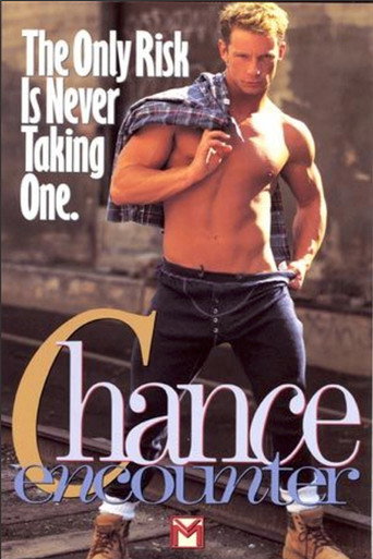Chance Encounter movie poster