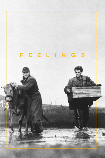 Feelings movie poster