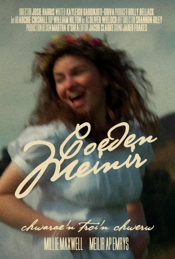 Meinir's Tree movie poster