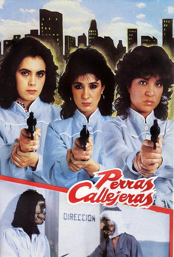 Female Street Dogs movie poster
