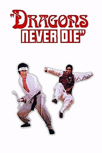 Kung Fu 10th Dan movie poster
