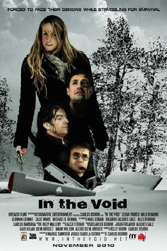 In the Void movie poster
