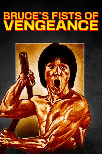 Bruce's Fists Of Vengeance movie poster