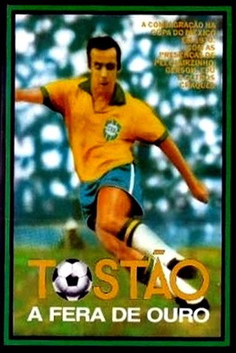 Tostão - A Fera de Ouro movie poster
