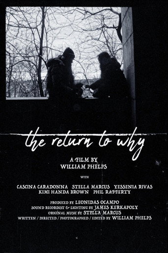 The Return to Why movie poster