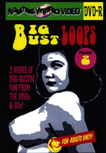 Big Bust Loops Volume 2 movie poster