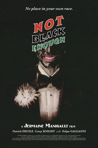 Not Black Enough movie poster