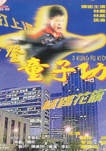 3 Kung Fu Kids movie poster
