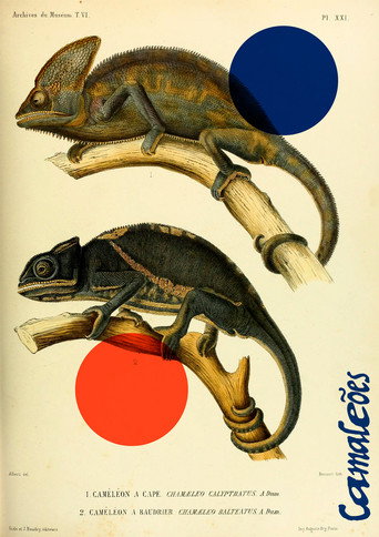 Chameleons movie poster