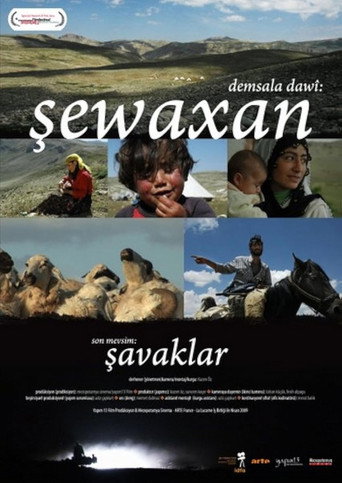 The Last Season: Shawaks movie poster