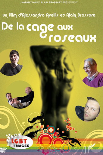 De la cage aux roseaux movie poster