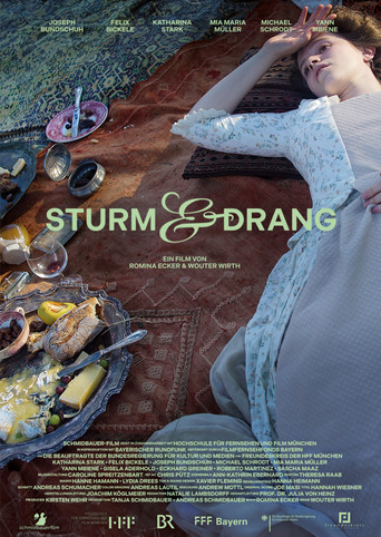 Storm & Stress movie poster