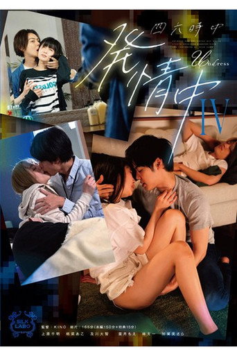 SILK-178 四六時中発情中 IV movie poster