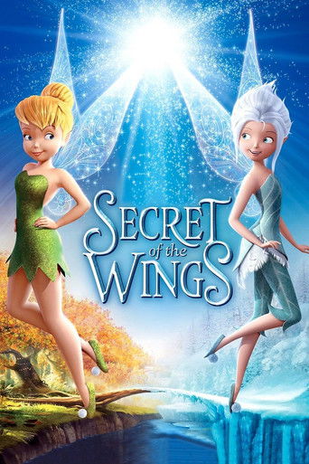 Secret of the Wings movie poster