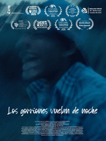 Los gorriones vuelan de noche movie poster