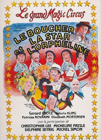 The Butcher, the Star and the Orphan movie poster