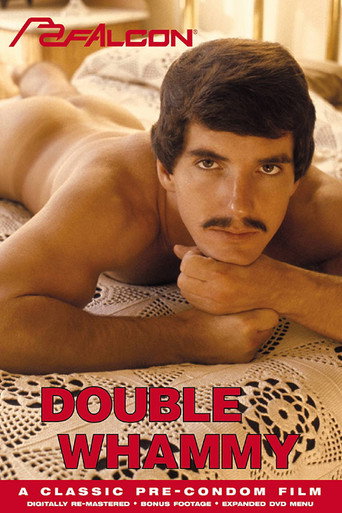 Double Whammy movie poster