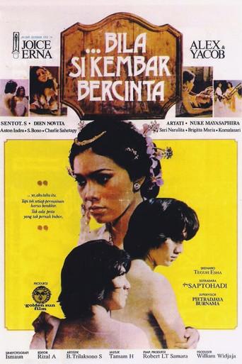 When the Twins Fall In Love movie poster