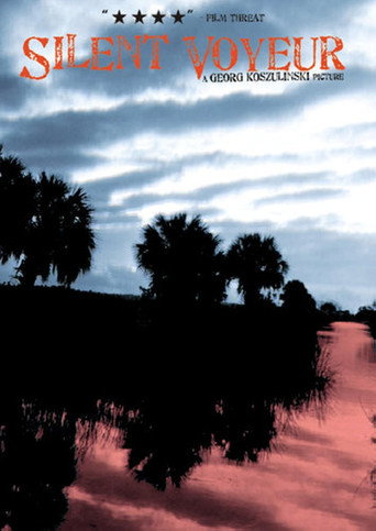 Silent Voyeur movie poster