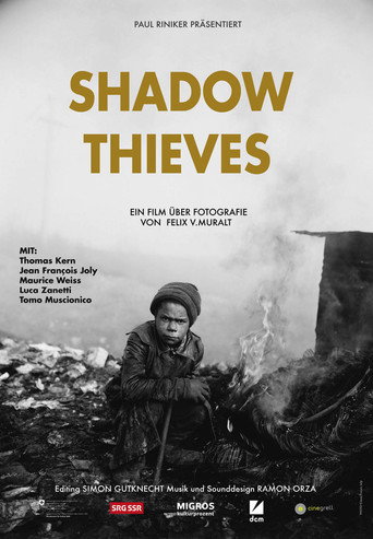 Shadow Thieves movie poster