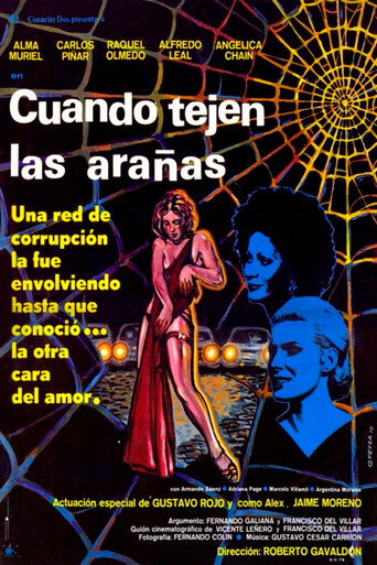Cuando tejen las arañas movie poster