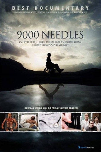 9000 Needles movie poster