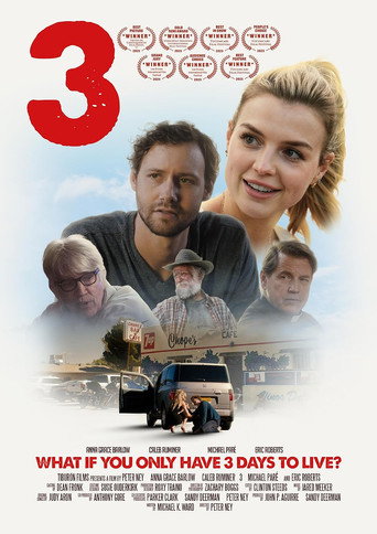 3: The Movie movie poster