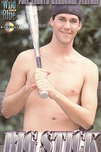 Big Stick movie poster