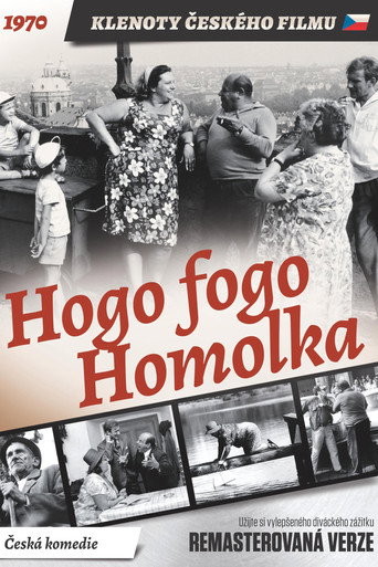 Hogo Fogo Homolka movie poster