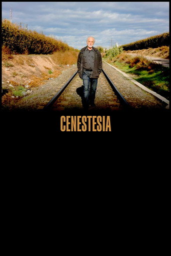 Cenestesia movie poster