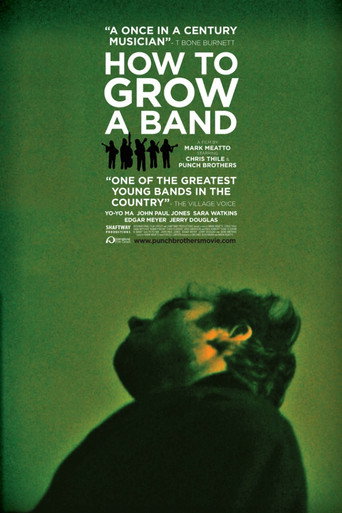 How to Grow a Band movie poster